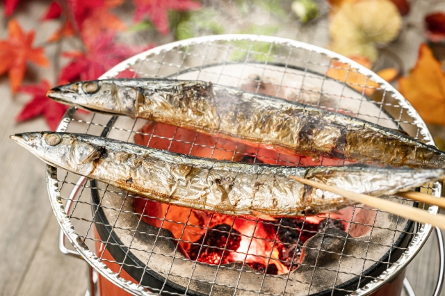秋刀魚の季節