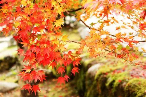 季節の変わり目、体調管理にご注意を