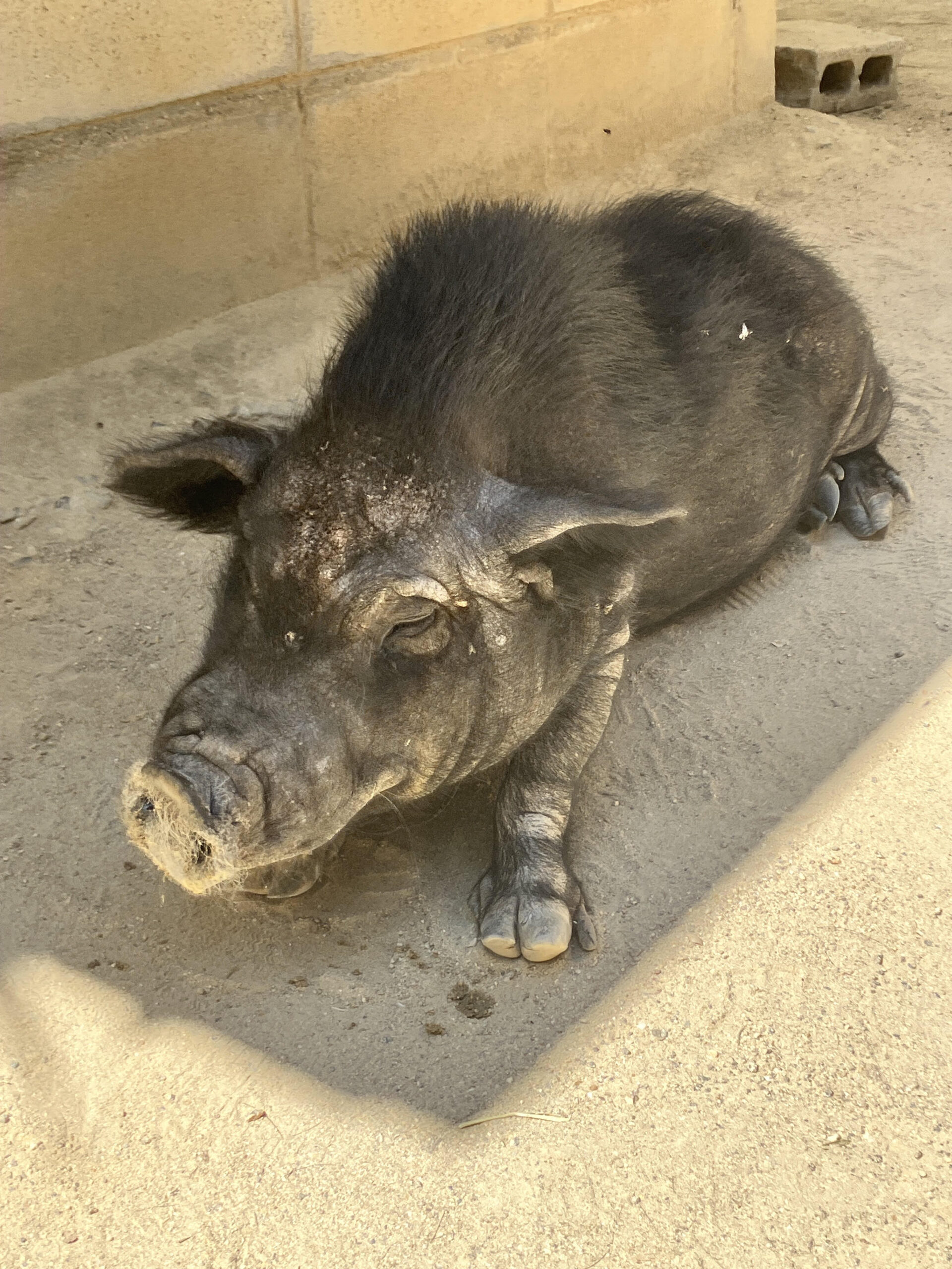 渋川動物公園に行ってきました